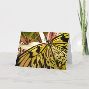 Tarjeta Mariposa Notecard