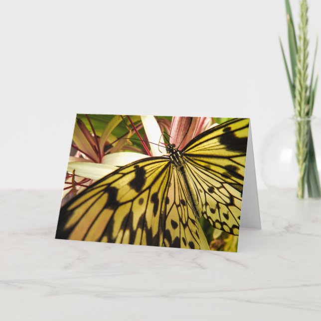 Tarjeta Mariposa Notecard (Anverso)