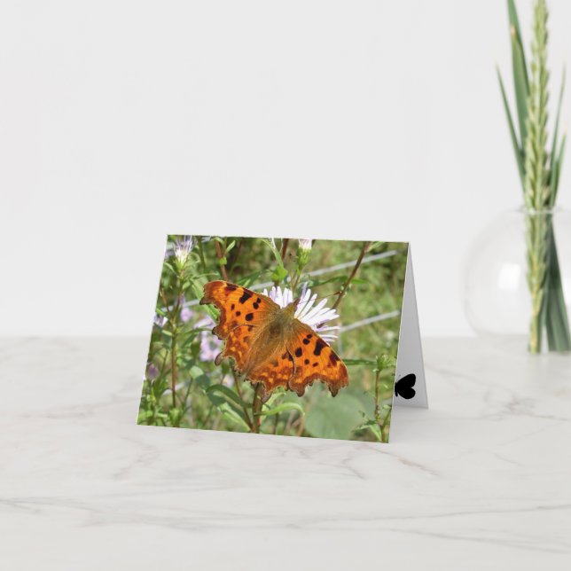 Tarjeta Mariposa Notecard - Comma (Anverso)