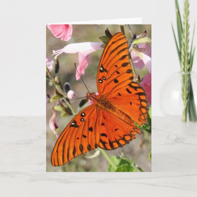 Tarjeta Mariposa Notecard del Fritillary del golfo (Anverso)