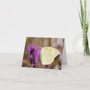Tarjeta Mariposa para graduación y Inspiradora