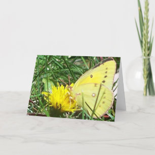 Tarjeta Mariposa - Pensando En Ti