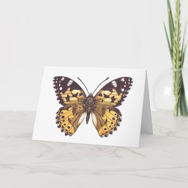 Tarjeta Mariposa pintada (Anverso)