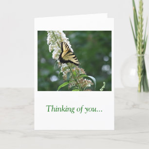 Tarjeta Mariposa que piensa en usted