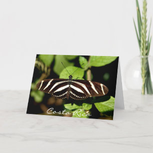 Tarjeta Mariposa rayada - Costa Rica