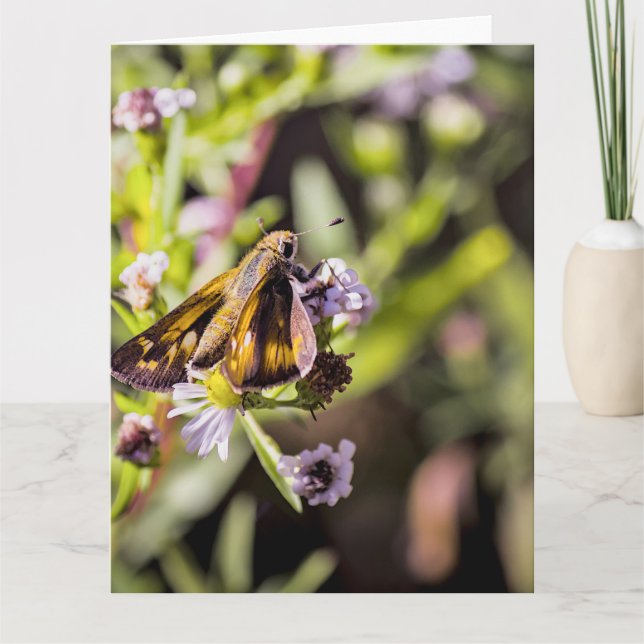 Tarjeta Mariposa Saltadora (Anverso)