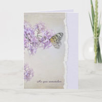 mariposa simpática en Lilac con borde roto