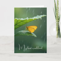 Mariposa simpática en una hoja verde en lluvia