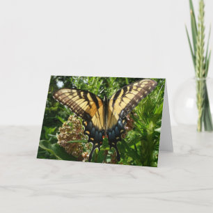 Tarjeta Mariposa Swallowtail III Foto Hermosa y Colorida