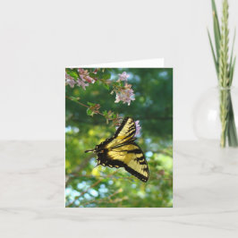 Tarjeta Mariposa y cielo