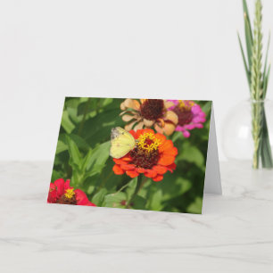 Tarjeta Mariposa y flores amarillas