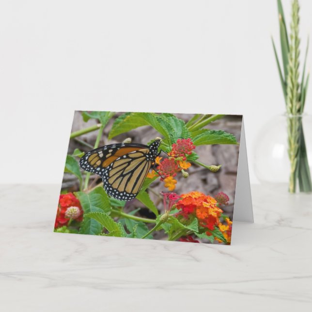 Tarjeta Mariposa y Lantana (Anverso)