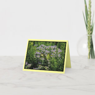 Tarjeta Mariposa y Monarda Notecard