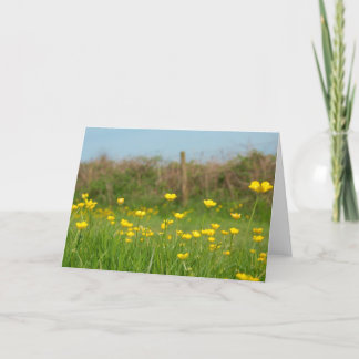 Tarjeta Mariposas