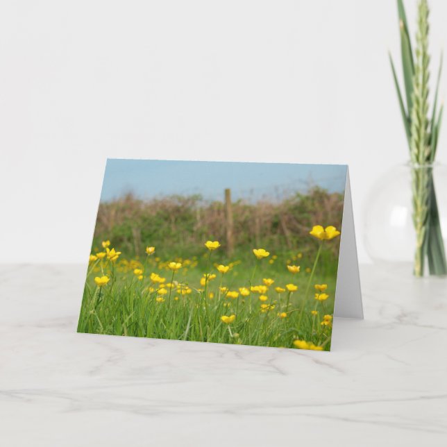 Tarjeta Mariposas (Anverso)