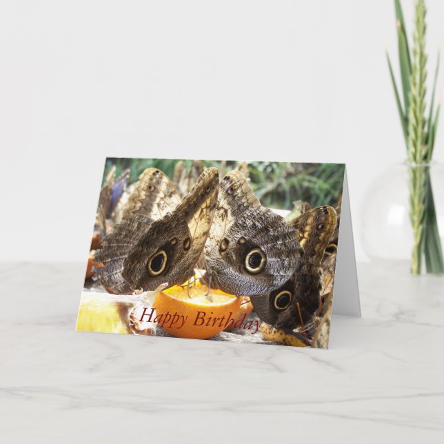 TARJETA MARIPOSAS (Anverso)