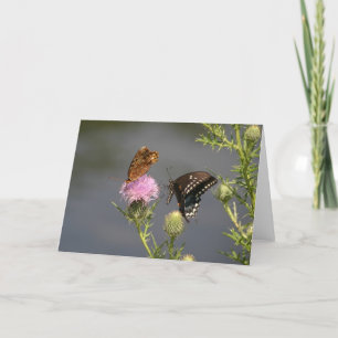 Tarjeta Mariposas
