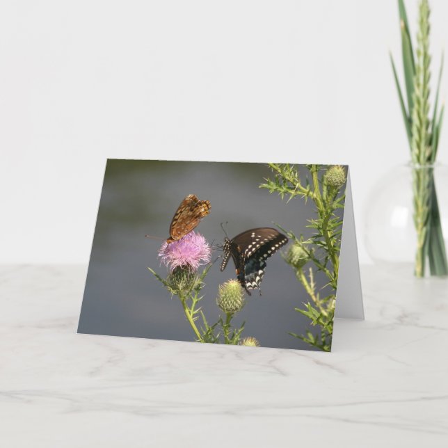 Tarjeta Mariposas (Anverso)