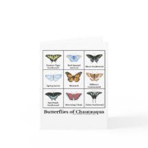 Mariposas de Chautauqua