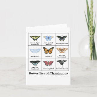 Tarjeta Mariposas de Chautauqua