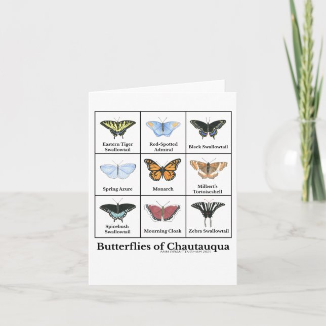 Tarjeta Mariposas de Chautauqua  (Anverso)