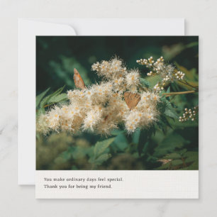 Tarjeta Mariposas del bosque poético Gracias por la Amista