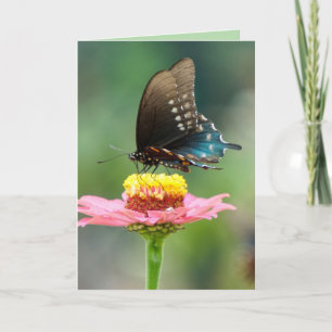 Tarjeta Mariposas Hermosas