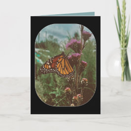 Tarjeta mariposas naranja