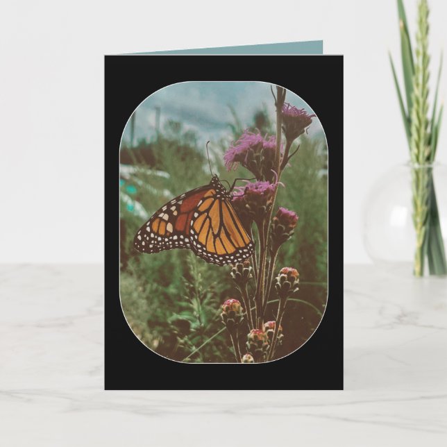 Tarjeta mariposas naranja  (Anverso)