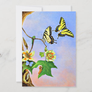 Tarjeta Mariposas, pintura de 1878