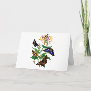 Tarjeta Mariposas y madreselva roja