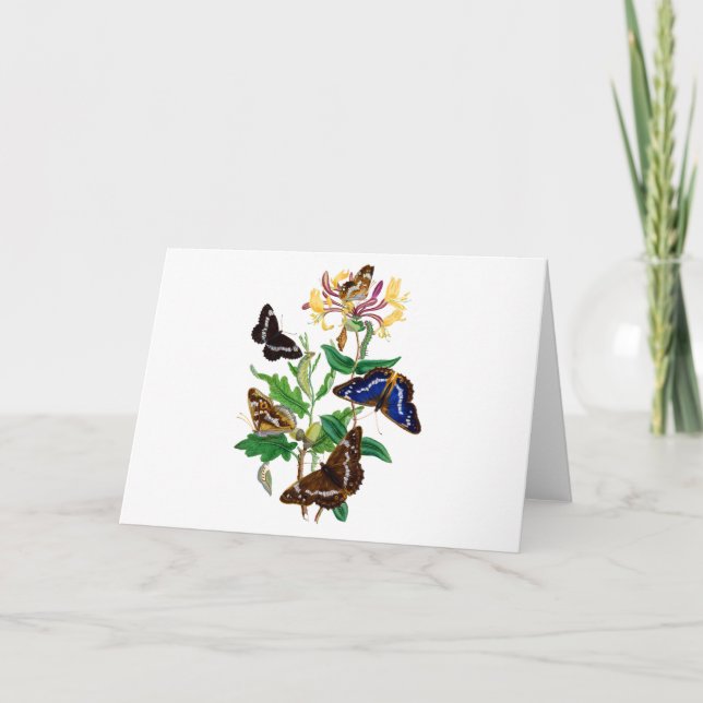 Tarjeta Mariposas y madreselva roja (Anverso)