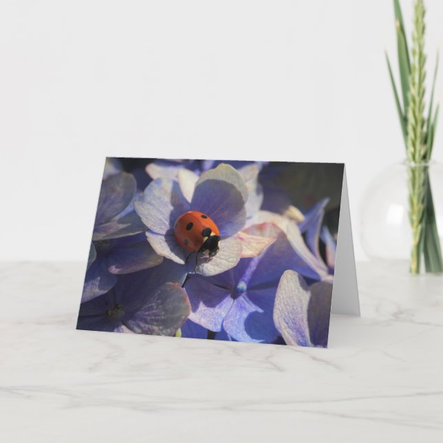 Tarjeta Mariquita (Anverso)