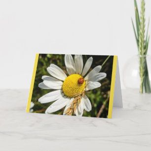 Tarjeta Mariquita en margarita