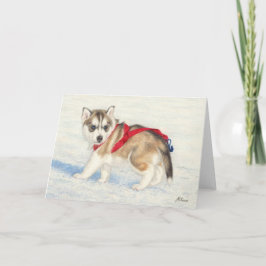 Tarjeta Mariquita Husky Siberiana En Nieve