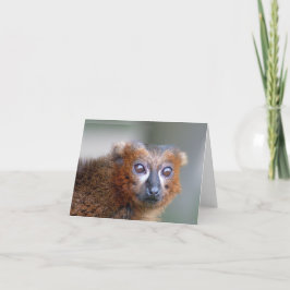 Tarjeta Marmoset