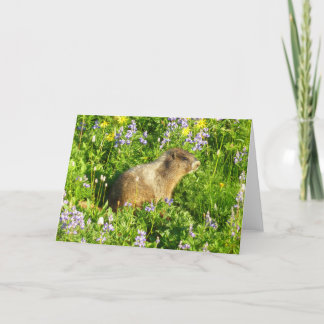 Tarjeta Marmot en Mont Rainier Wildflowers