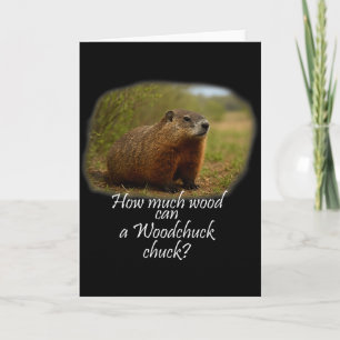 Tarjeta Marmota! Cuánto puede mover una marmota_ 