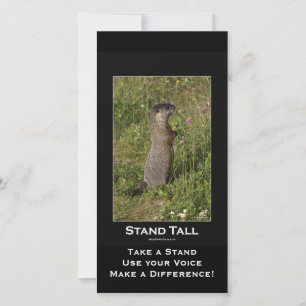 Tarjeta marmota de barriga amarilla