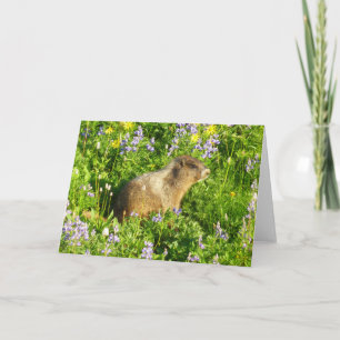 Tarjeta Marmota en flores silvestres del Monte Rainier
