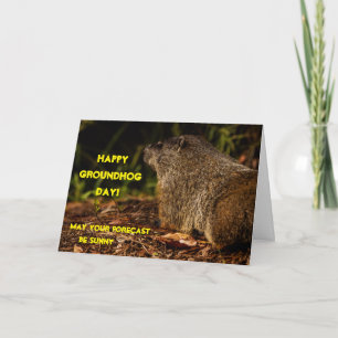 Tarjeta Marmota Sunny