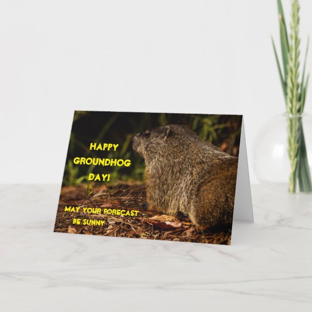 Tarjeta Marmota Sunny (Anverso)