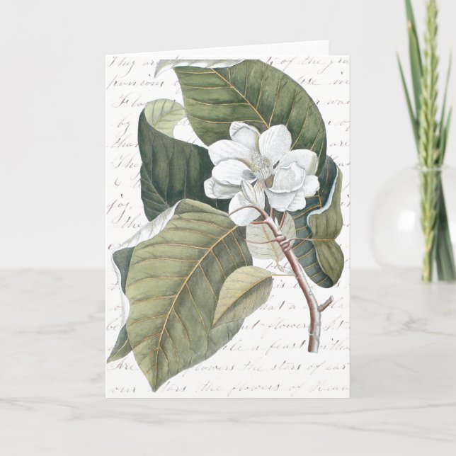Tarjeta Marque el collage de la magnolia de Catesby con (Anverso)