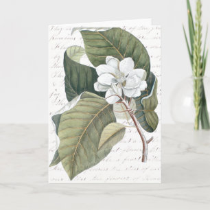 Tarjeta Marque el collage de la magnolia de Catesby con