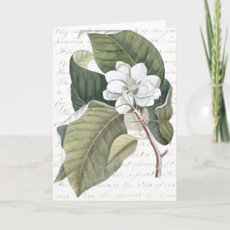 Tarjeta Marque el collage de la magnolia de Catesby con