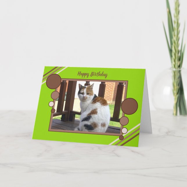 Tarjeta Marrón verde de la foto del gato de calicó que se (Anverso)