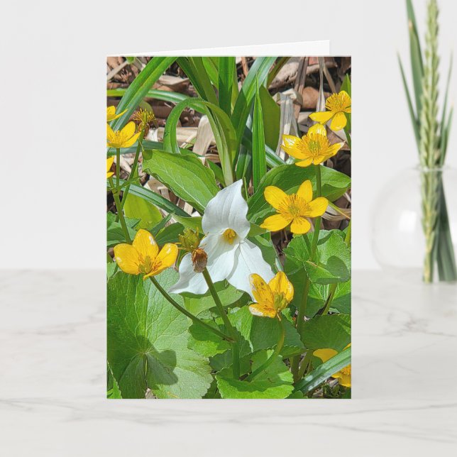 Tarjeta Marsh Marigolds y Trillium de cumpleaños (Anverso)