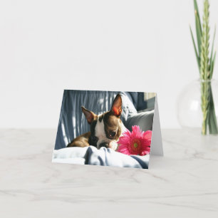 Tarjeta Martha y Gerber Daisy