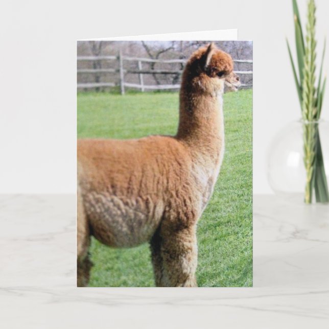 TARJETA MÁS BIEN COMPARTAN MI CUMPLEAÑOS CONTIGO QUE CUALQ (Anverso)