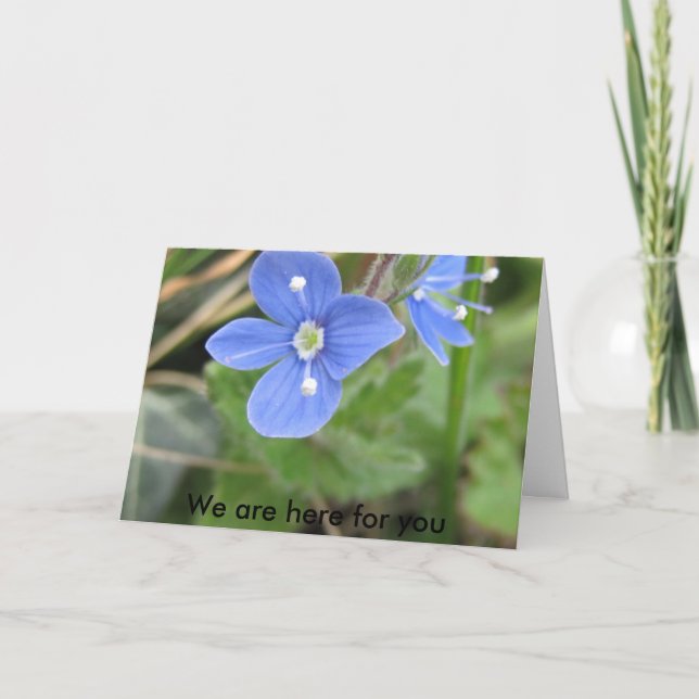 Tarjeta más primavera florece 10 001, nosotros está aquí (Anverso)